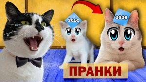 СМОТРИМ свои СТАРЫЕ ВИДЕО! ЛУЧШИЕ ПРИКОЛЫ и ПРАНКИ канала А ну-ка Давай-ка