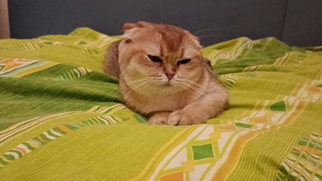 🤣🤣🤣🤣😂😂🤣😂