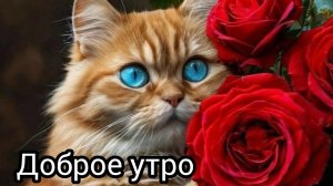 Доброе утро! Песня с добрым утром шикарное поздравление с добрым утром
