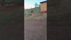 футбол ⚽