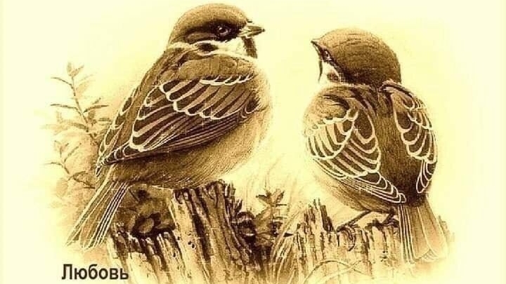 ПОЧЕМУ ЭФИРЫ СКИНИИ ДУХА СВЯТОГО СТАЛИ РЕЖЕ
А
Вопрос- Ответ❤️❤️