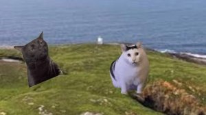 неожиданно