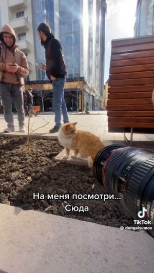 Дабл Бабл 2