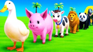 Мультики про диких животных. Яркие домашние и дикие животные. Смотреть онлайн Мультики для детей.