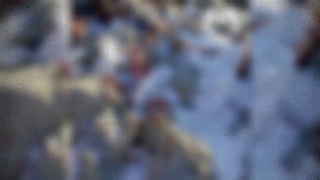 АФРИКАНСКИЙ ВИРУС у границ Сибири! Что от нас скрывают под грифом СЕКРЕТНО?