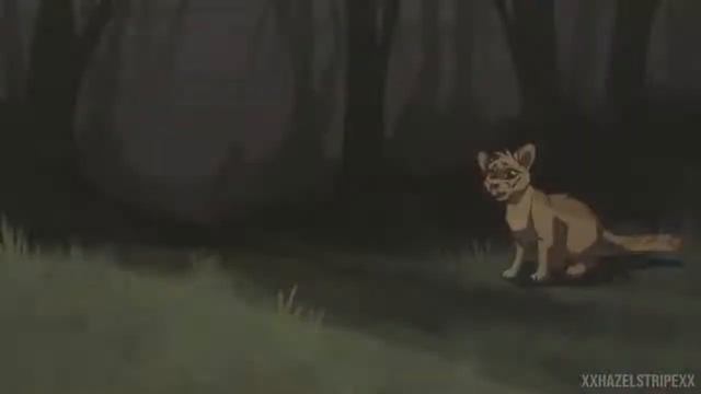 КОТЫ ВОИТЕЛИ | ФИНАЛЬНАЯ БИТВА: Последнее пламя Огнезвезда | Русская озвучка/ видео не моё. (КОТЫ ВО