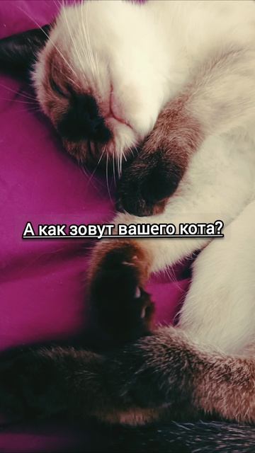 Упражнения Как избавиться от картавости смотреть