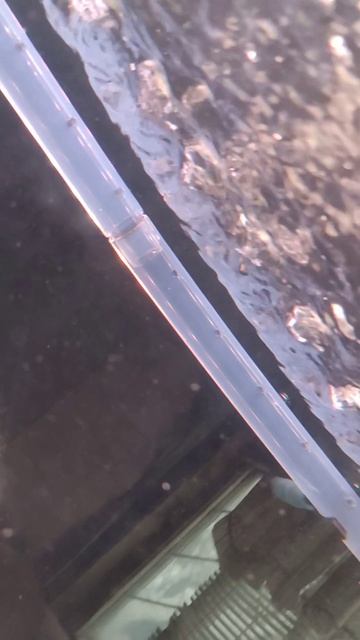 Префильтр EW - 602