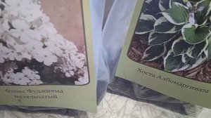 Покупки из Светофора /рассада на 3.04 .2026