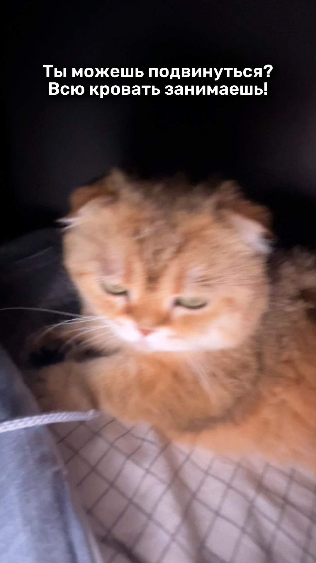 Ты можешь подвинуться? Всю кровать занимаешь!