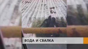 На протекающем козырьке купаются голуби, отовсюду торчат провода