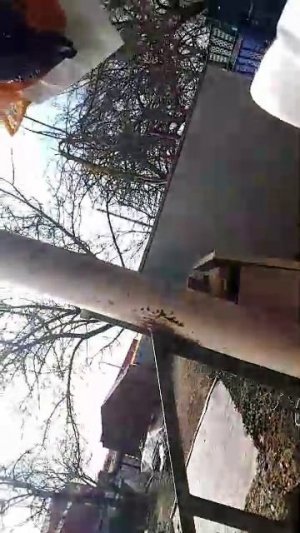 гуляю в деревне