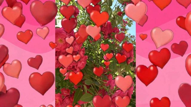 2025 год цветы