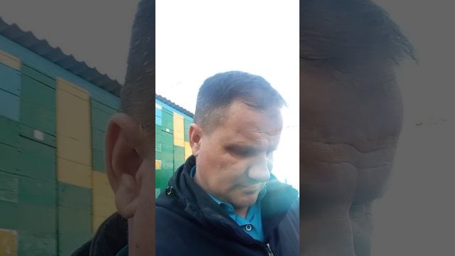 3 апреля 2026 года пошла пыльца с мать и мачехи и ивы вербы