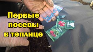 Сею лук, редиску, салат на ранний урожай