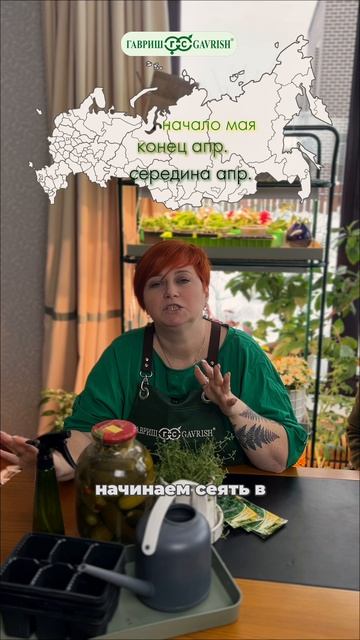 ОГУРЦЫ: ОБЗОР СОРТОВ И СРОКИ ПОСЕВА