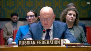 🇷🇺🇺🇳Выступление В.А.Небензи на заседании Совета Безопасности ООН по тематике сотрудничества ООН