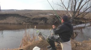 Забросил прям у ног и сразу клюёт. Рыбалка на фидерную оснастку на маленькой речке.