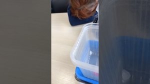 я с девушкой со своей на работе