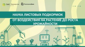 Наука листовых подкормок: от воздействия на растение до роста урожайности