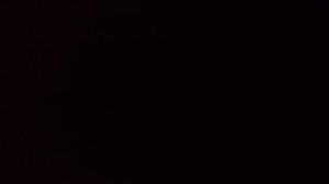 Белку ограбили...😿🙀😾