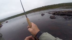 Рыбалка нахлыстом.