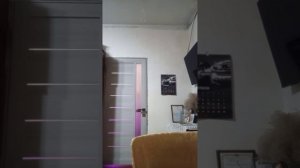 ЕСЛИ БЫ КОТИКИ ХОДИЛИ В ШКОЛУ