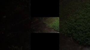 Шум дождя. 3 часа