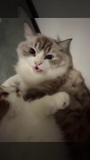 Унесите это немедленно!