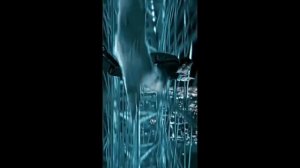 Кот спас его , но какой ценой ?