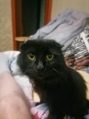 Пятница блин