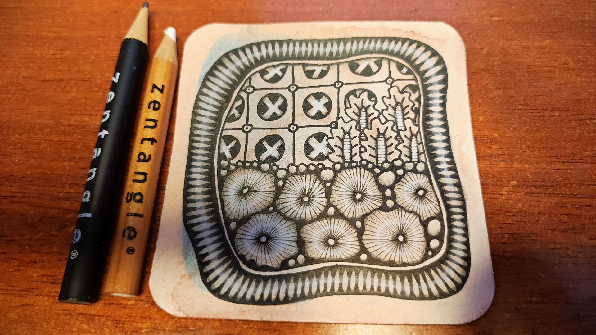 Зентангл Необычный пейзаж