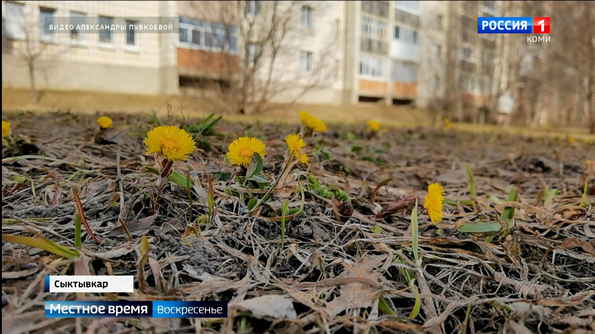 Март в Коми установил сразу несколько исторических максимумов