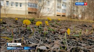 Март в Коми установил сразу несколько исторических максимумов