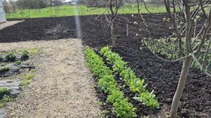 МУЖ СКАЗАЛ НЕ ПАРИТЬСЯ 🤣РАЗГОВОРЧИКИ В СТРОЮ