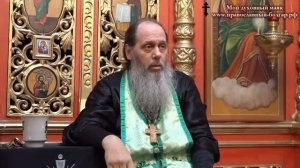 Лазарева Суббота. Вход Господень в Иерусалим. О. Владимир Головин.