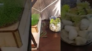 подробнее о содержание