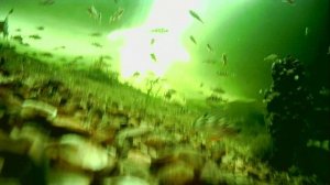 1000012946.mp4Волга гл.2м.03.04.2026г.