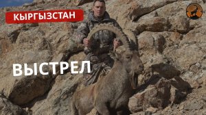 КЫРГЫЗСТАН | ВЫСТРЕЛ| СИБИРСКИЙ КОЗЕРОГ | РЕАЛЬНАЯ ОХОТА