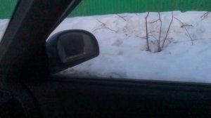 Повторяю меня окружили инопланетяне повторяю 13