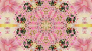 Весна! Очаровательные тюльпаны 10! Киностудия Мудрого Кота Тимофея!