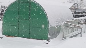 Снег. И снова снег... | Николай Артемьев