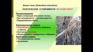 Комплектование МТА - 10.04. 231 группа