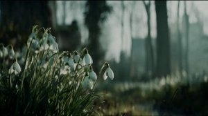 Сергей Александровский. Моя светлая весна (джаз)