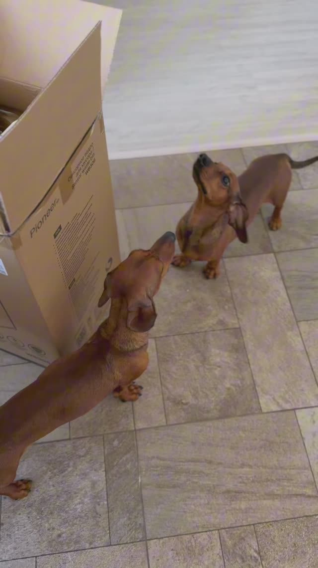 День 2 | мой челлендж продолжается | минус 28 вещей