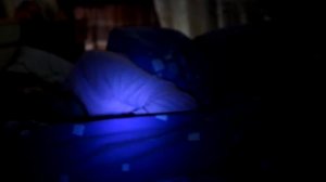 Автопортрет