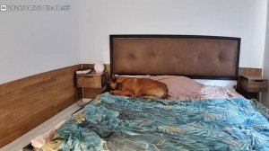 Как проходит Праймушин день.mp4