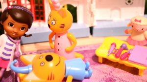 Три кота, ДОКТОР  ПЛЮШЕВА