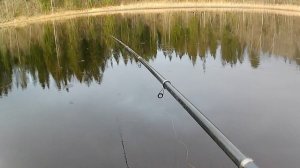 3 апреля, снова на речке.