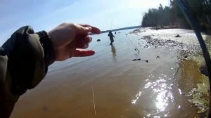 ЕРШИ АТАКУЮТ!Рыбалка на донки с берега.